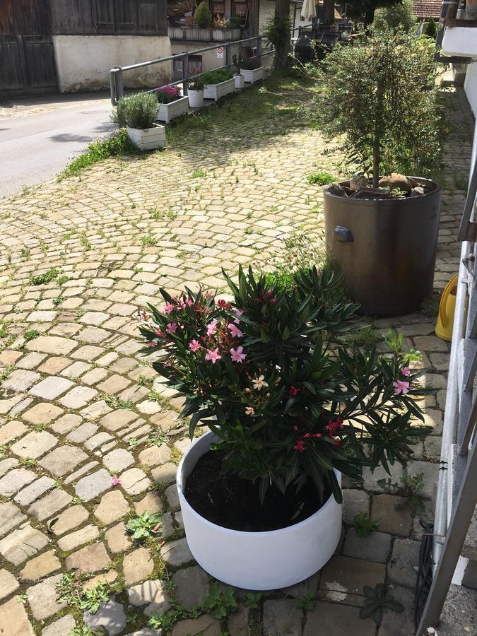 B&B Baeren Rüeggisberg Eksteriør billede